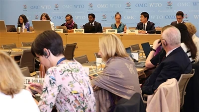 WTO Akan Meninjau Kredit Pajak AS Berdasarkan Undang-Undang Pengurangan Infla...