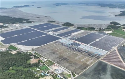 Proyek Tenaga Surya Esmeralda Seven: AS Mencabut Persetujuan Nevada
