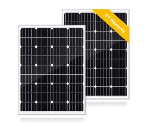 Panel Surya 100W yang Banyak Digunakan